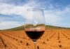 Madridejos acogerá el Día Vino DO 2026 promovido por los vinos de La Mancha Madridejos acogerá el Día Vino DO 2026 promovido por los vinos de La Mancha