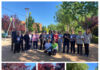 Paseos biosaludables en Tomelloso Paseos biosaludables en Tomelloso