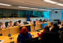 Podemos Castilla-La Mancha lleva al Parlamento Europeo la lucha de las camareras de piso Podemos Castilla-La Mancha lleva al Parlamento Europeo la lucha de las camareras de piso