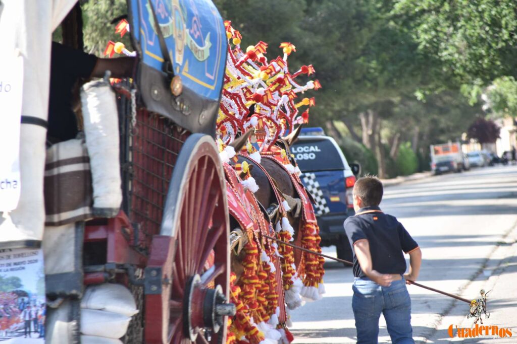 Tomelloso celebra el Día de Castilla-La Mancha con sus reatas: tradición, orgullo y raíces en la calle 31 procesion carreros tomelloso dia clm 02