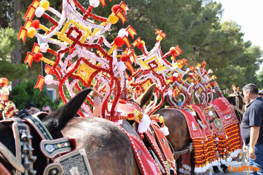 Tomelloso celebra el Día de Castilla-La Mancha con sus reatas: tradición, orgullo y raíces en la calle 29 procesion carreros tomelloso dia clm 04