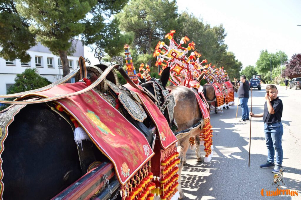 Tomelloso celebra el Día de Castilla-La Mancha con sus reatas: tradición, orgullo y raíces en la calle 28 procesion carreros tomelloso dia clm 05