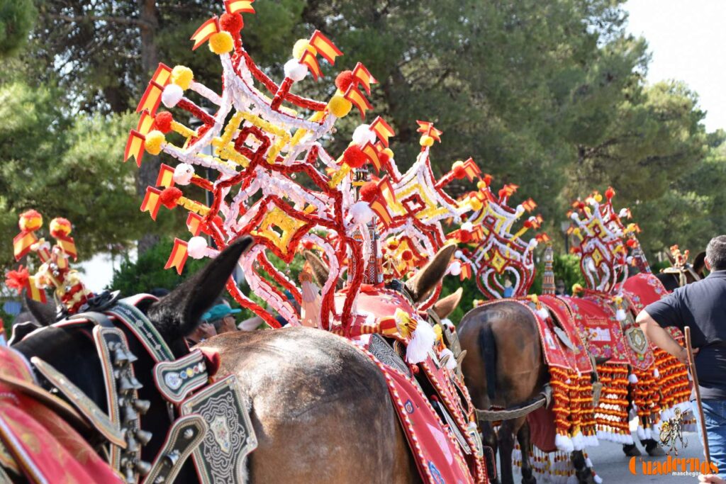 Tomelloso celebra el Día de Castilla-La Mancha con sus reatas: tradición, orgullo y raíces en la calle 27 procesion carreros tomelloso dia clm 06