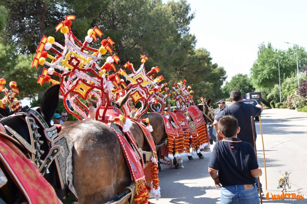 Tomelloso celebra el Día de Castilla-La Mancha con sus reatas: tradición, orgullo y raíces en la calle 26 procesion carreros tomelloso dia clm 07