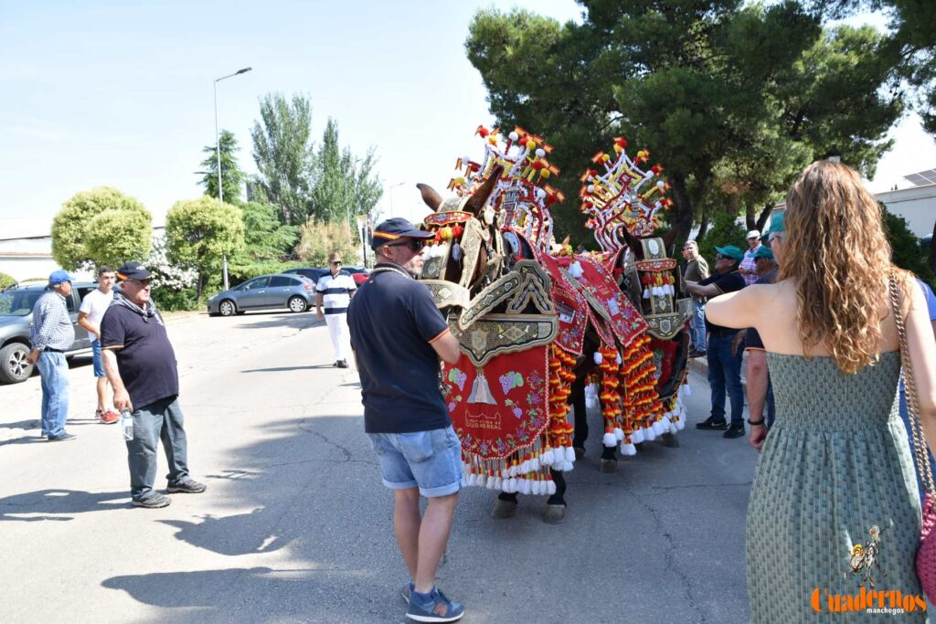 Tomelloso celebra el Día de Castilla-La Mancha con sus reatas: tradición, orgullo y raíces en la calle 23 procesion carreros tomelloso dia clm 12