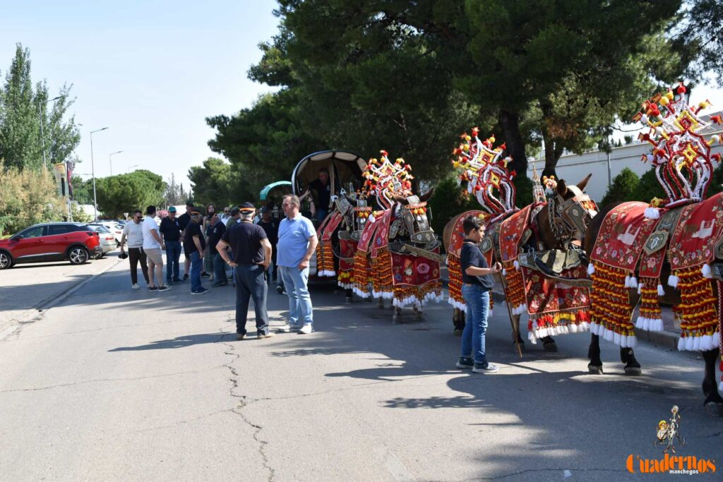 Tomelloso celebra el Día de Castilla-La Mancha con sus reatas: tradición, orgullo y raíces en la calle 20 procesion carreros tomelloso dia clm 15