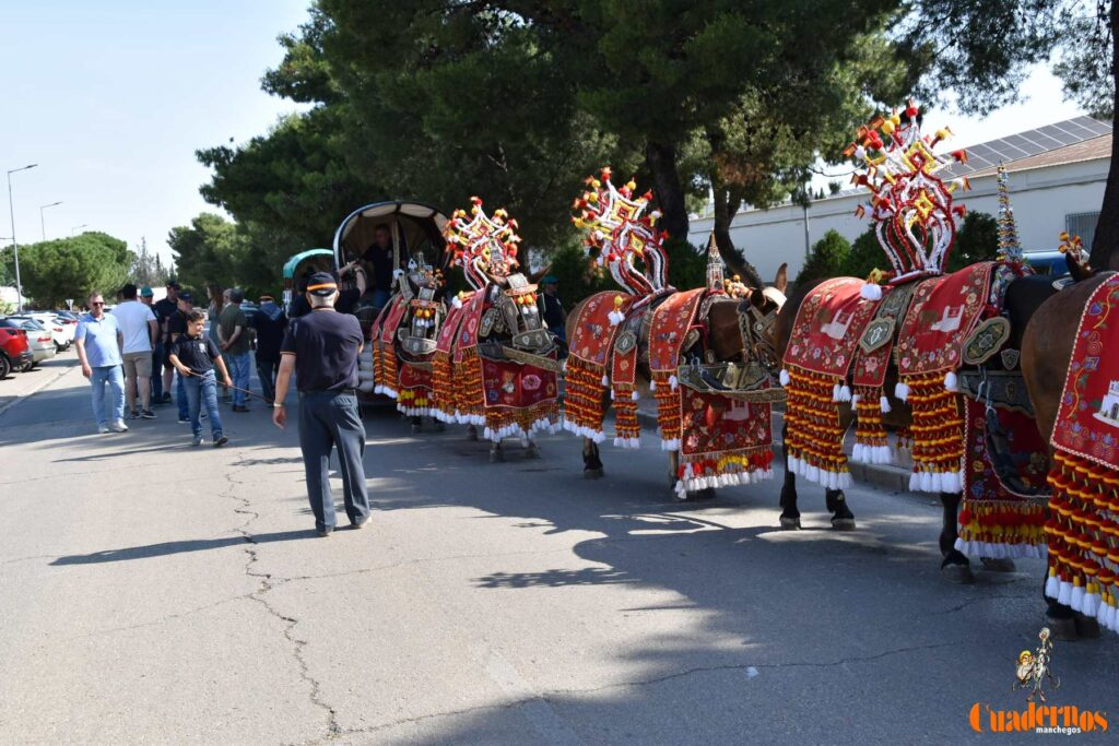 Tomelloso celebra el Día de Castilla-La Mancha con sus reatas: tradición, orgullo y raíces en la calle 19 procesion carreros tomelloso dia clm 16