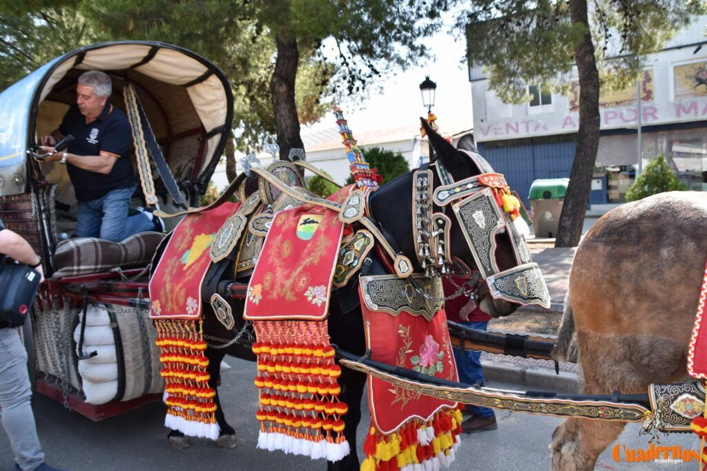 Tomelloso celebra el Día de Castilla-La Mancha con sus reatas: tradición, orgullo y raíces en la calle 18 procesion carreros tomelloso dia clm 17