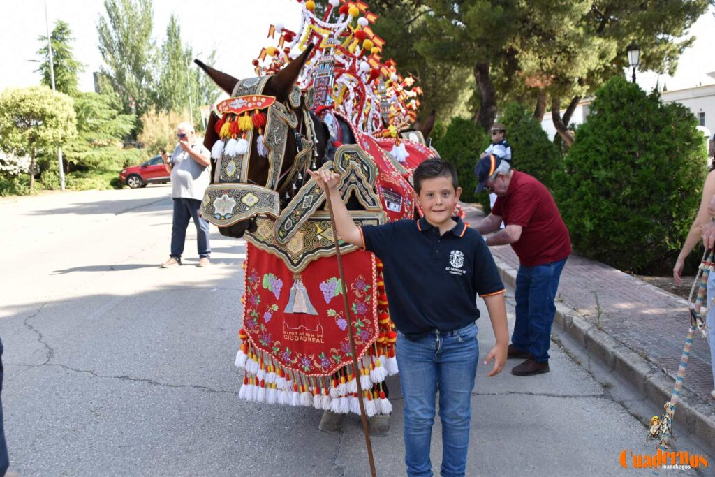 Tomelloso celebra el Día de Castilla-La Mancha con sus reatas: tradición, orgullo y raíces en la calle 14 procesion carreros tomelloso dia clm 21