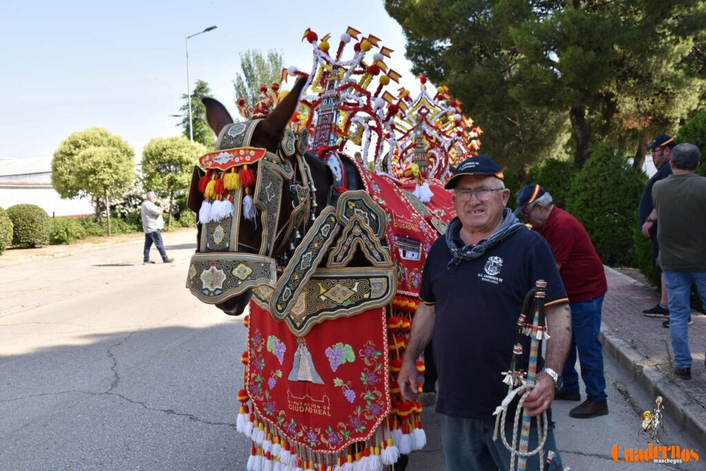 Tomelloso celebra el Día de Castilla-La Mancha con sus reatas: tradición, orgullo y raíces en la calle 13 procesion carreros tomelloso dia clm 22