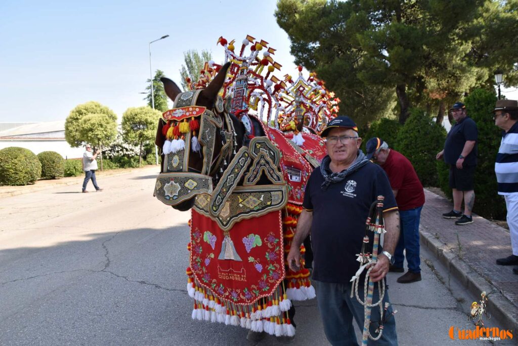 Tomelloso celebra el Día de Castilla-La Mancha con sus reatas: tradición, orgullo y raíces en la calle 12 procesion carreros tomelloso dia clm 23