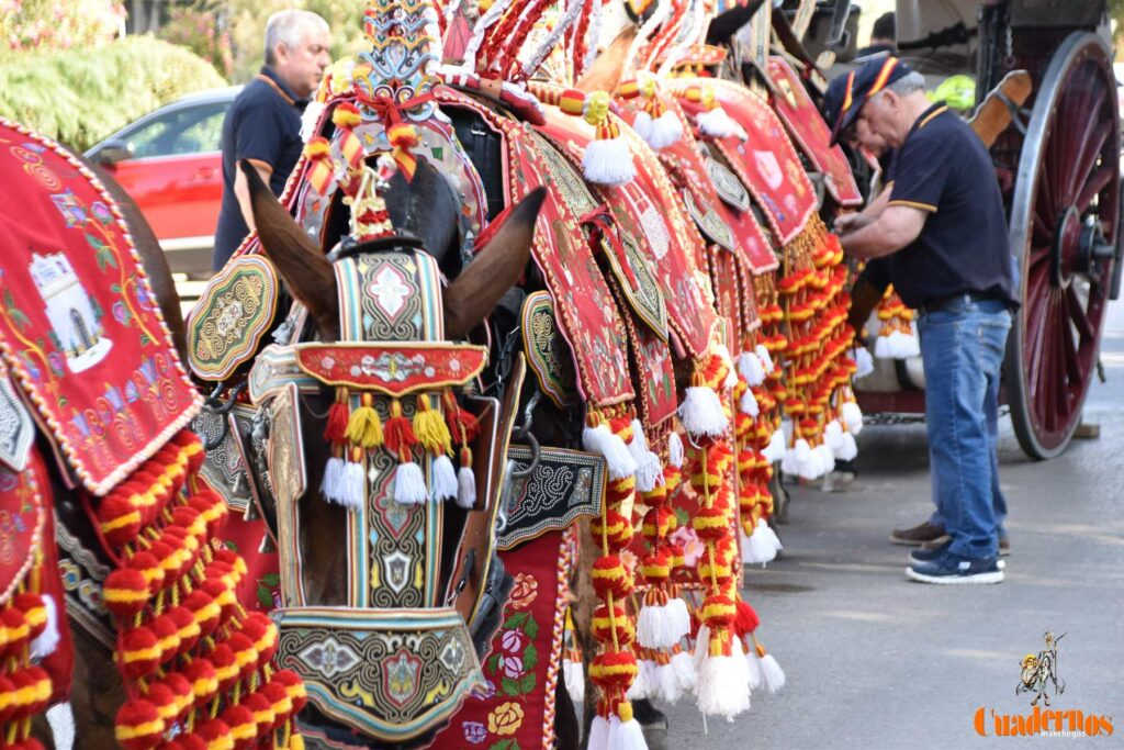 Tomelloso celebra el Día de Castilla-La Mancha con sus reatas: tradición, orgullo y raíces en la calle 10 procesion carreros tomelloso dia clm 25