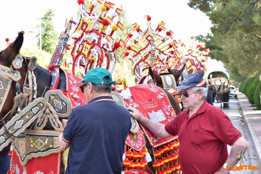 Tomelloso celebra el Día de Castilla-La Mancha con sus reatas: tradición, orgullo y raíces en la calle 9 procesion carreros tomelloso dia clm 26