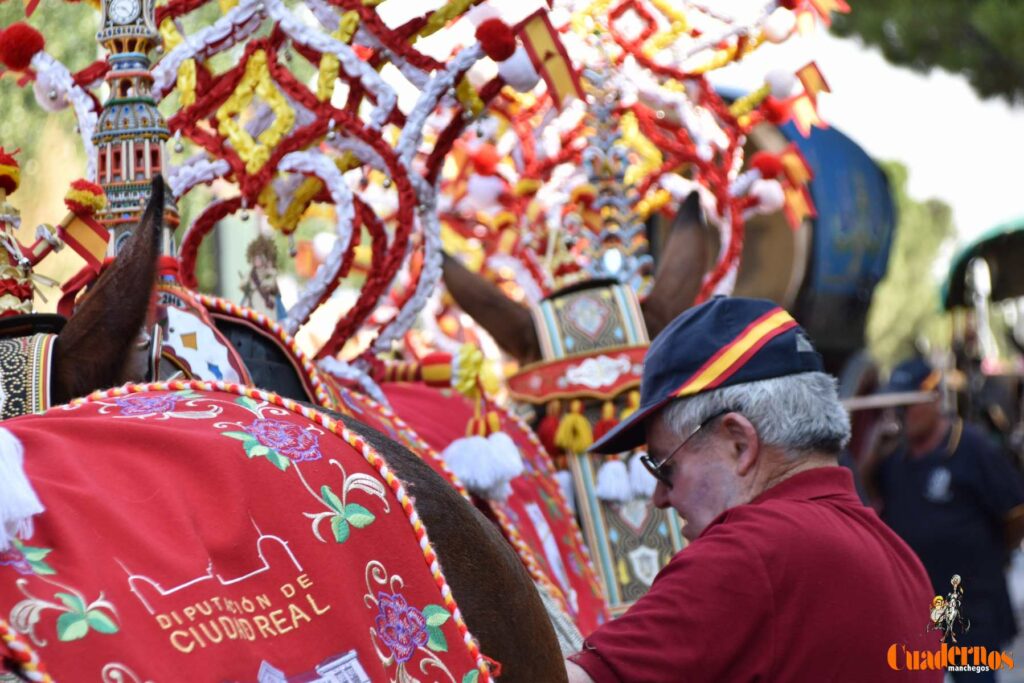 Tomelloso celebra el Día de Castilla-La Mancha con sus reatas: tradición, orgullo y raíces en la calle 7 procesion carreros tomelloso dia clm 28