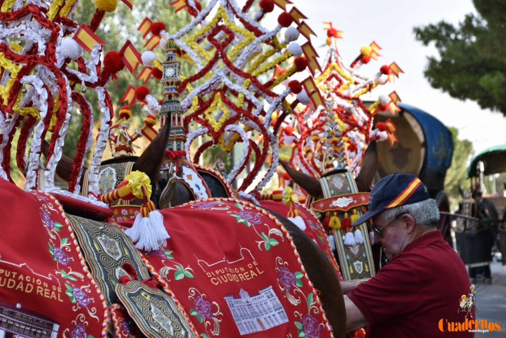 Tomelloso celebra el Día de Castilla-La Mancha con sus reatas: tradición, orgullo y raíces en la calle 6 procesion carreros tomelloso dia clm 29