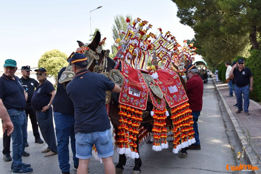 Tomelloso celebra el Día de Castilla-La Mancha con sus reatas: tradición, orgullo y raíces en la calle 5 procesion carreros tomelloso dia clm 30