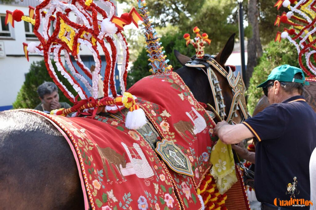 Tomelloso celebra el Día de Castilla-La Mancha con sus reatas: tradición, orgullo y raíces en la calle 4 procesion carreros tomelloso dia clm 31