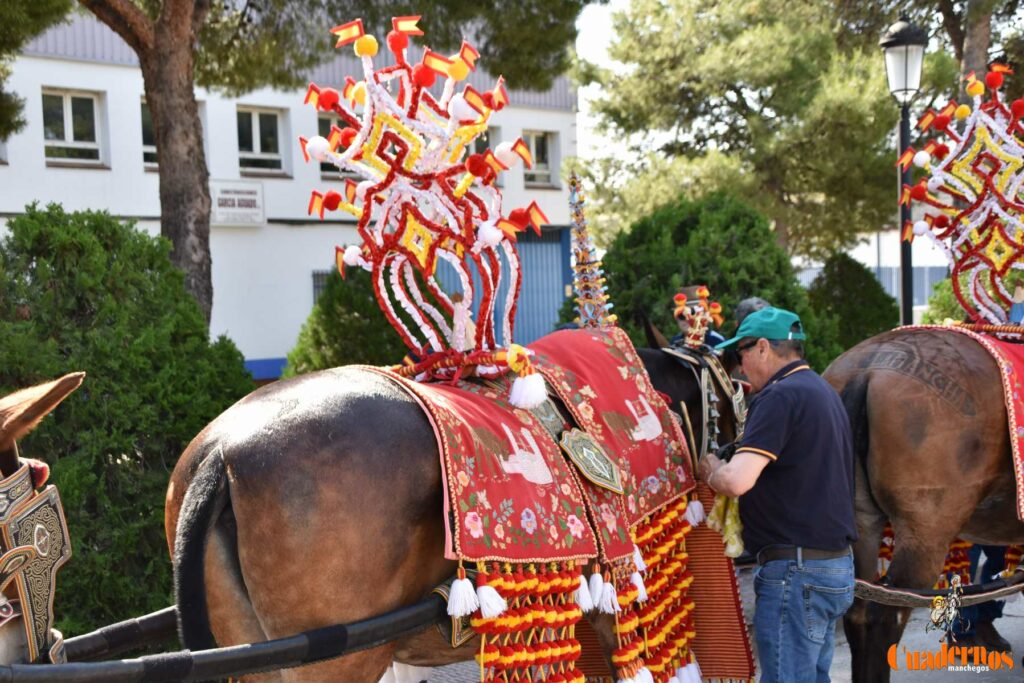 Tomelloso celebra el Día de Castilla-La Mancha con sus reatas: tradición, orgullo y raíces en la calle 2 procesion carreros tomelloso dia clm 33