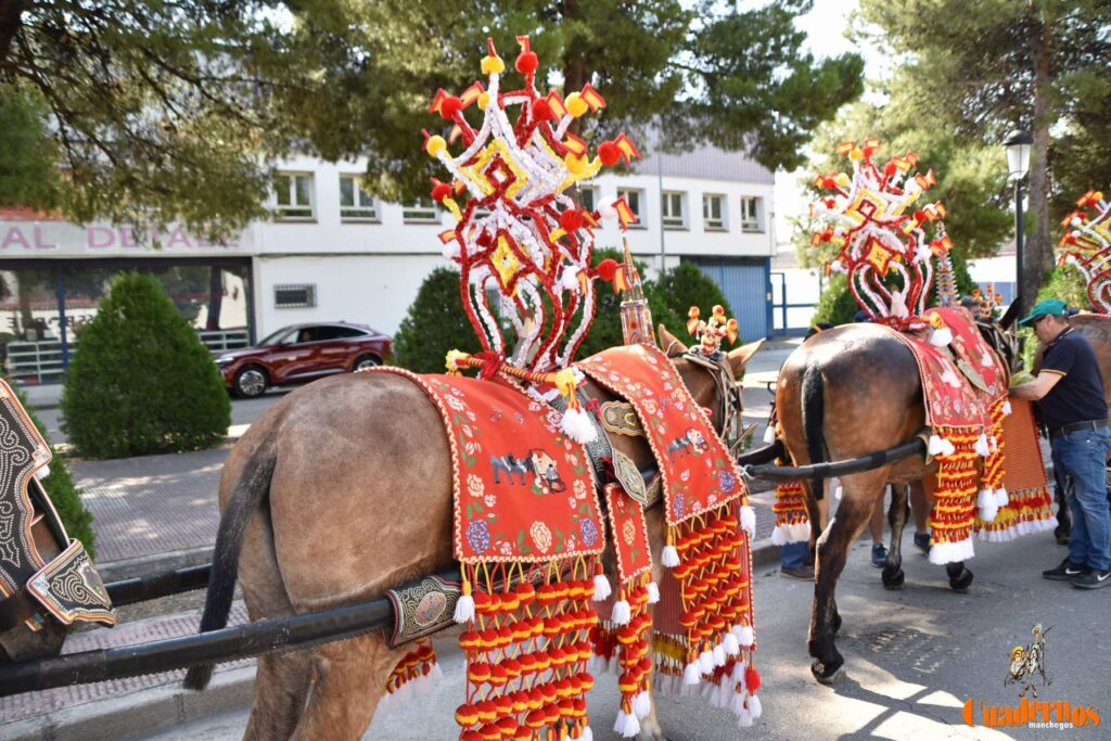 Tomelloso celebra el Día de Castilla-La Mancha con sus reatas: tradición, orgullo y raíces en la calle 1 procesion carreros tomelloso dia clm 34