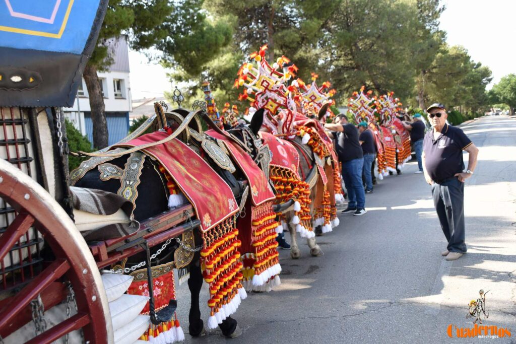 Tomelloso celebra el Día de Castilla-La Mancha con sus reatas: tradición, orgullo y raíces en la calle 38 procesion carreros tomelloso dia clm 36