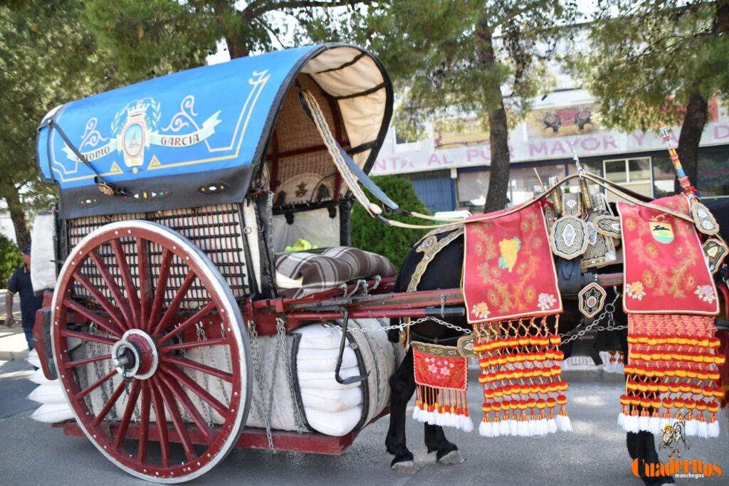 Tomelloso celebra el Día de Castilla-La Mancha con sus reatas: tradición, orgullo y raíces en la calle 36 procesion carreros tomelloso dia clm 38
