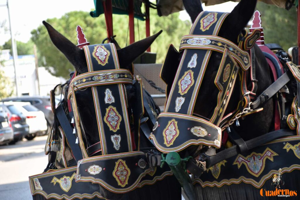 Tomelloso celebra el Día de Castilla-La Mancha con sus reatas: tradición, orgullo y raíces en la calle 35 procesion carreros tomelloso dia clm 39