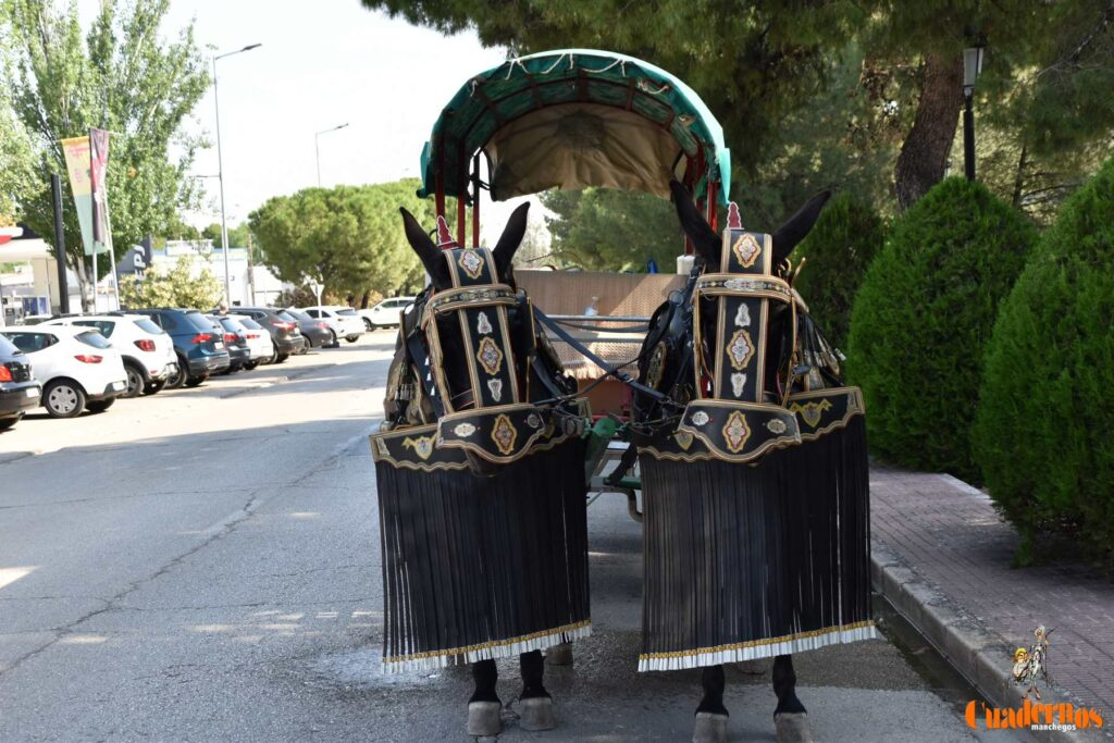 Tomelloso celebra el Día de Castilla-La Mancha con sus reatas: tradición, orgullo y raíces en la calle 34 procesion carreros tomelloso dia clm 41