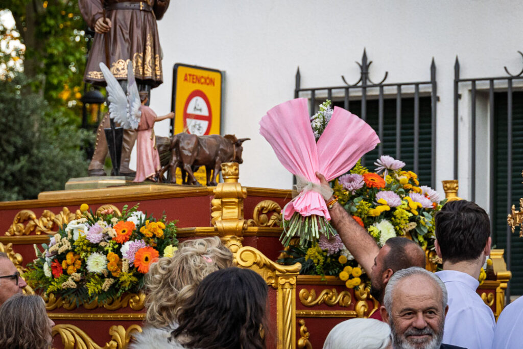 sanisidroargamasilladealba 31