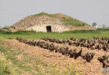 29 de mayo en Castilla-La Mancha: qué tiempo hará según AEMET y cómo planificar el día 29 de mayo en Castilla-La Mancha: qué tiempo hará según AEMET y cómo planificar el día