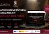 Tomelloso impulsa la formación universitaria especializada con el Aula Digital de la Cultura del Vino Tomelloso impulsa la formación universitaria especializada con el Aula Digital de la Cultura del Vino