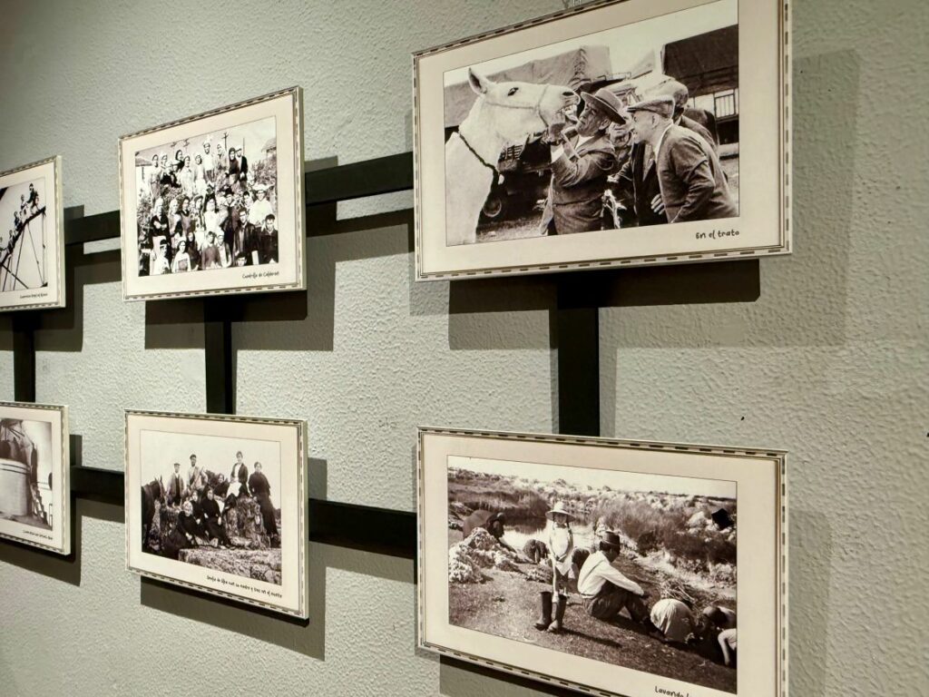 Villacañas inaugura la exposición “Vínculos de la Tierra: rejacando en nuestra historia” dedicada a agricultores y ganaderos de la localidad 7 villacanas vinculos tierra 2