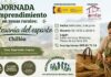 AMFAR impulsa el emprendimiento femenino en Chillón a través de la artesanía del esparto AMFAR impulsa el emprendimiento femenino en Chillón a través de la artesanía del esparto