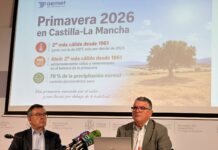 La primavera de 2026 fue la segunda más cálida registrada desde 1961 en Castilla-La Mancha La primavera de 2026 fue la segunda más cálida registrada desde 1961 en Castilla-La Mancha