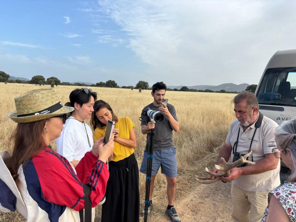 cabaneros daimiel ruidera 2