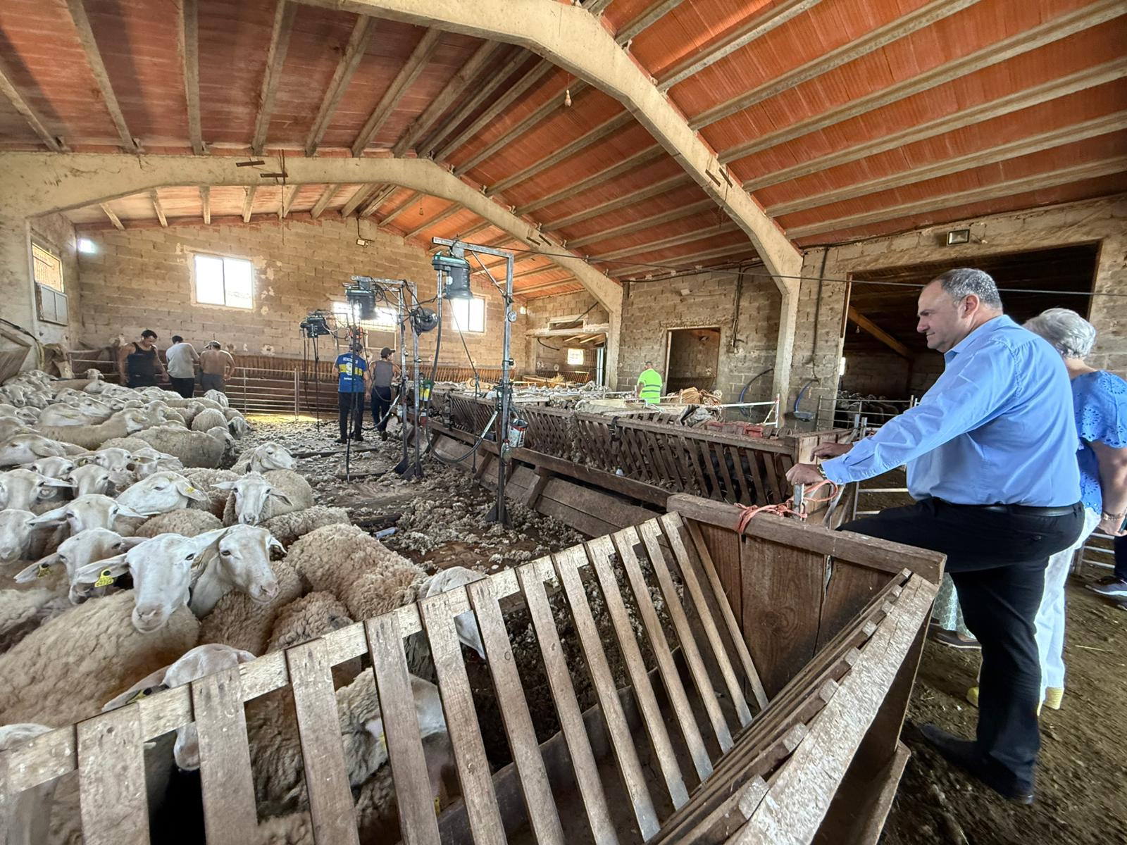 Castilla-La Mancha consolida la Escuela de Pastores como herramienta estratégica para impulsar el relevo generacional en la ganadería 3 Castilla-La Mancha consolida la Escuela de Pastores como herramienta estratégica para impulsar el relevo generacional en la ganadería