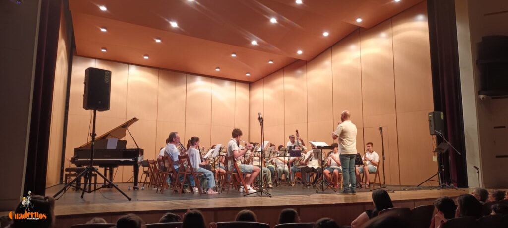 Alumnado y profesorado del Conservatorio de Tomelloso brillan en el Marcelo Grande con su Concierto Fin de Curso 16 concierto fin de curso conservatorio musica tomelloso 01