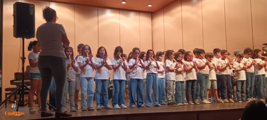Alumnado y profesorado del Conservatorio de Tomelloso brillan en el Marcelo Grande con su Concierto Fin de Curso 27 concierto fin de curso conservatorio musica tomelloso 13