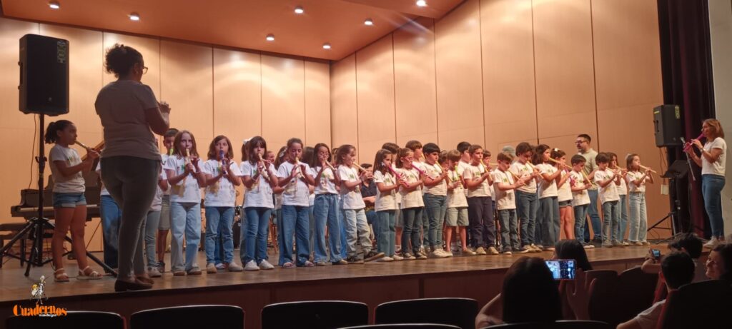 Alumnado y profesorado del Conservatorio de Tomelloso brillan en el Marcelo Grande con su Concierto Fin de Curso 29 concierto fin de curso conservatorio musica tomelloso 15