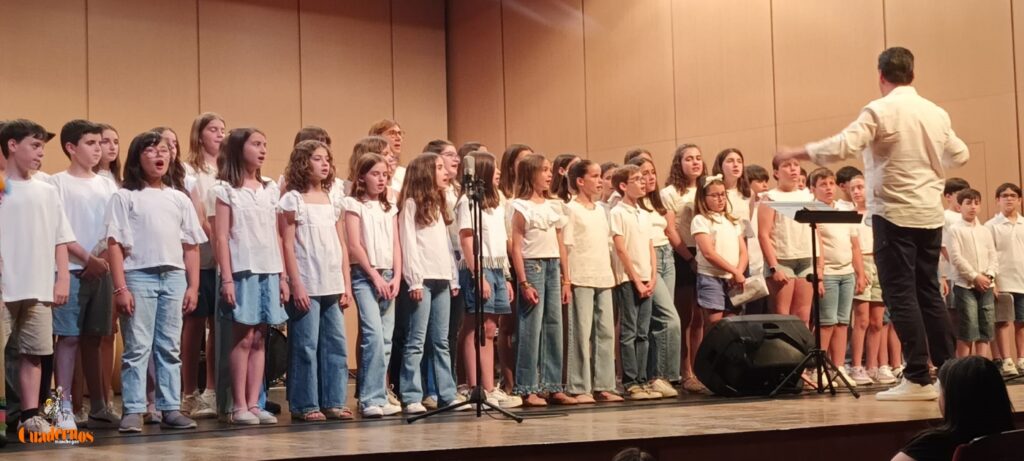 Alumnado y profesorado del Conservatorio de Tomelloso brillan en el Marcelo Grande con su Concierto Fin de Curso 40 concierto fin de curso conservatorio musica tomelloso 26