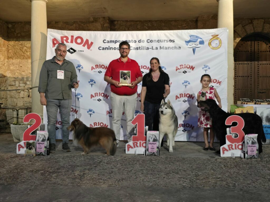El VI Concurso Nacional Canino llena Fuentenovilla de aficionados y ejemplares de gran calidad 1 concursocanino