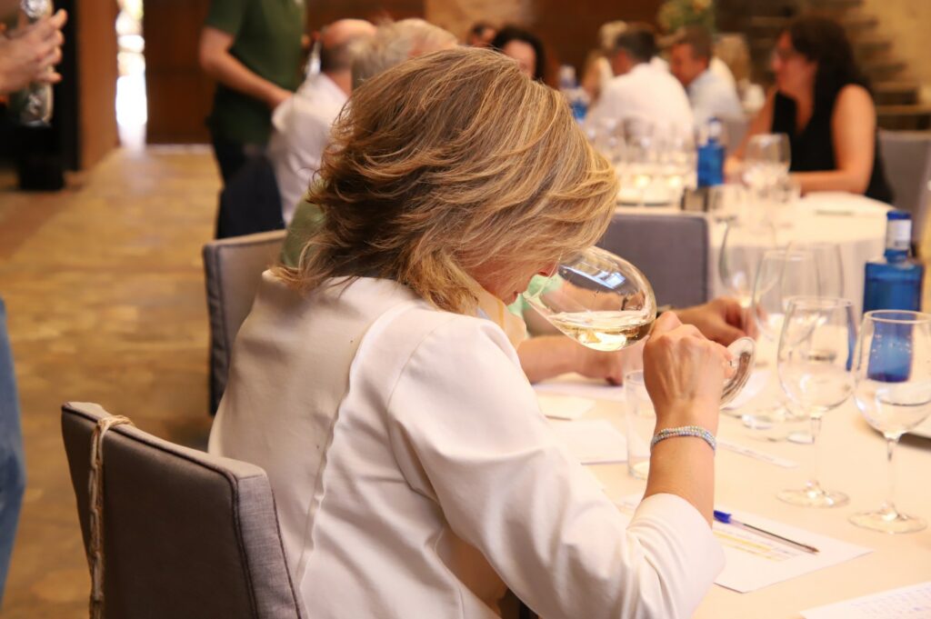 concursovinosfercam
