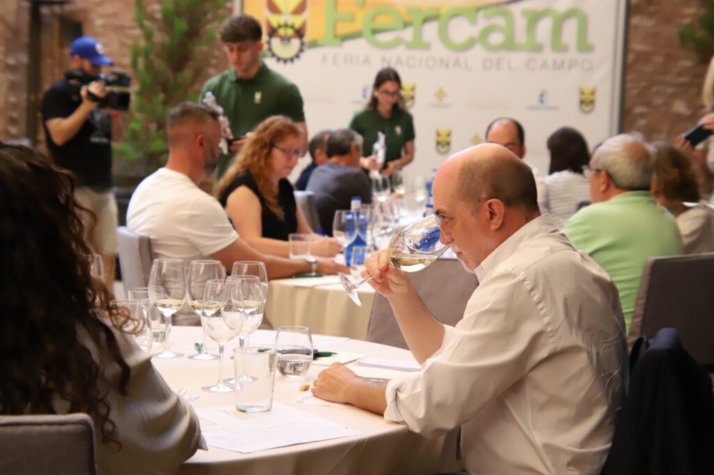 concursovinosfercam 2