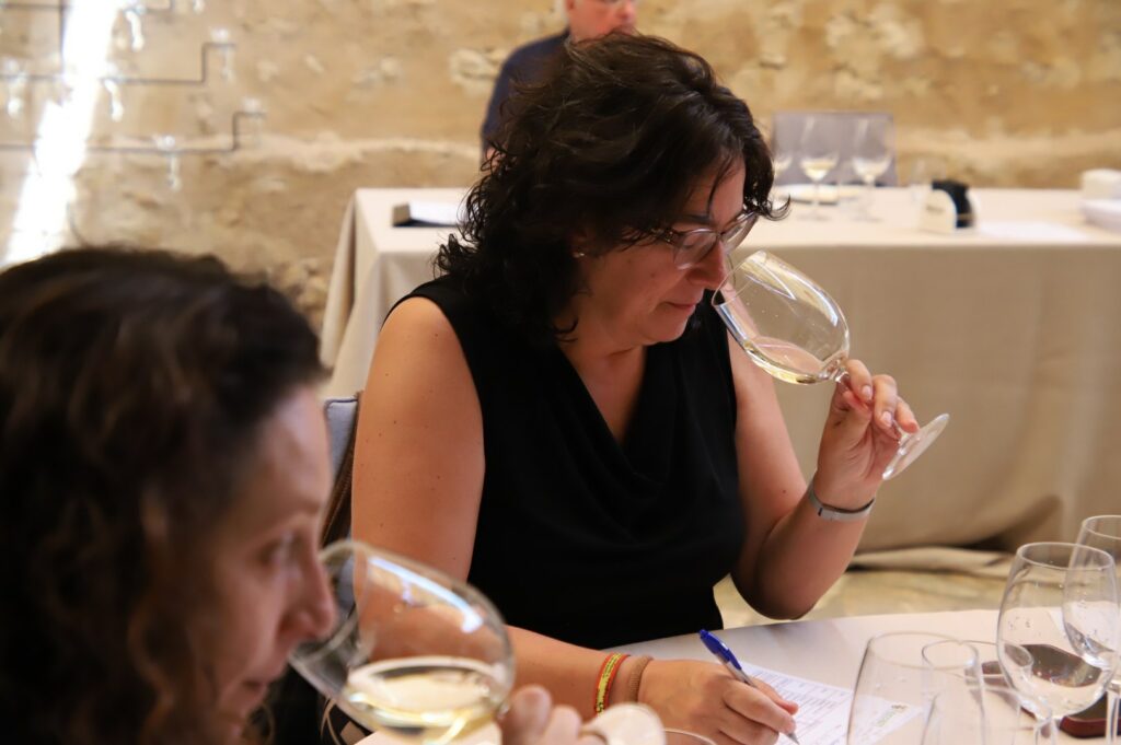 concursovinosfercam 3