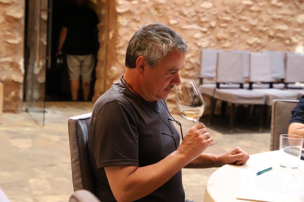 concursovinosfercam 4