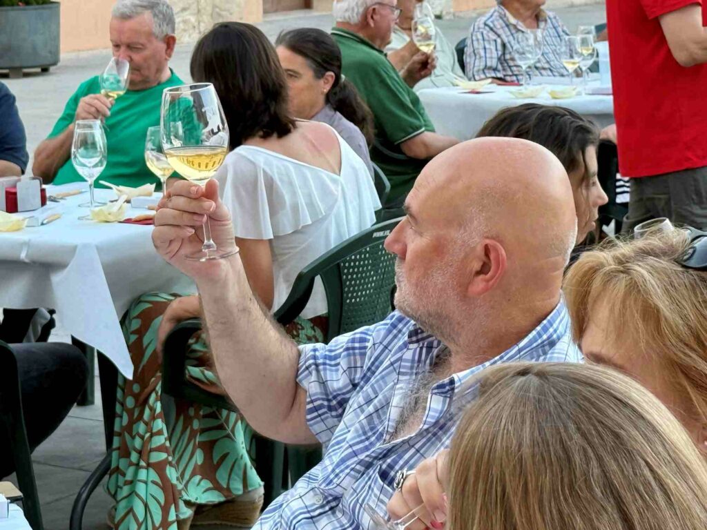 cultura vino villacanas 03