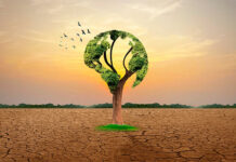 Hoy 17 de junio se recuerda la lucha contra la desertificación: un reto cada vez más urgente Hoy 17 de junio se recuerda la lucha contra la desertificación: un reto cada vez más urgente
