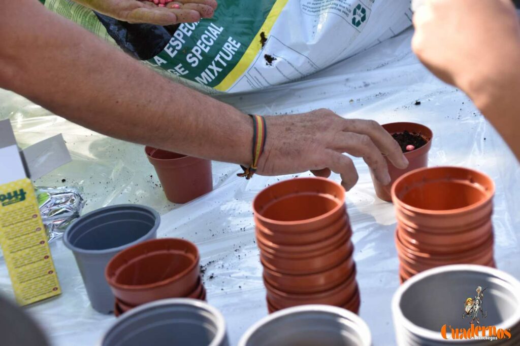 Tomelloso celebra el Día Mundial del Medio Ambiente con escolares en el Parque de la Constitución 10 dia medio ambiente ttomelloso 10
