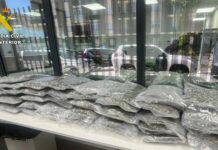 Golpe al tráfico de drogas en la A-33: llevaba 40 kilos de marihuana ocultos en el maletero Golpe al tráfico de drogas en la A-33: llevaba 40 kilos de marihuana ocultos en el maletero