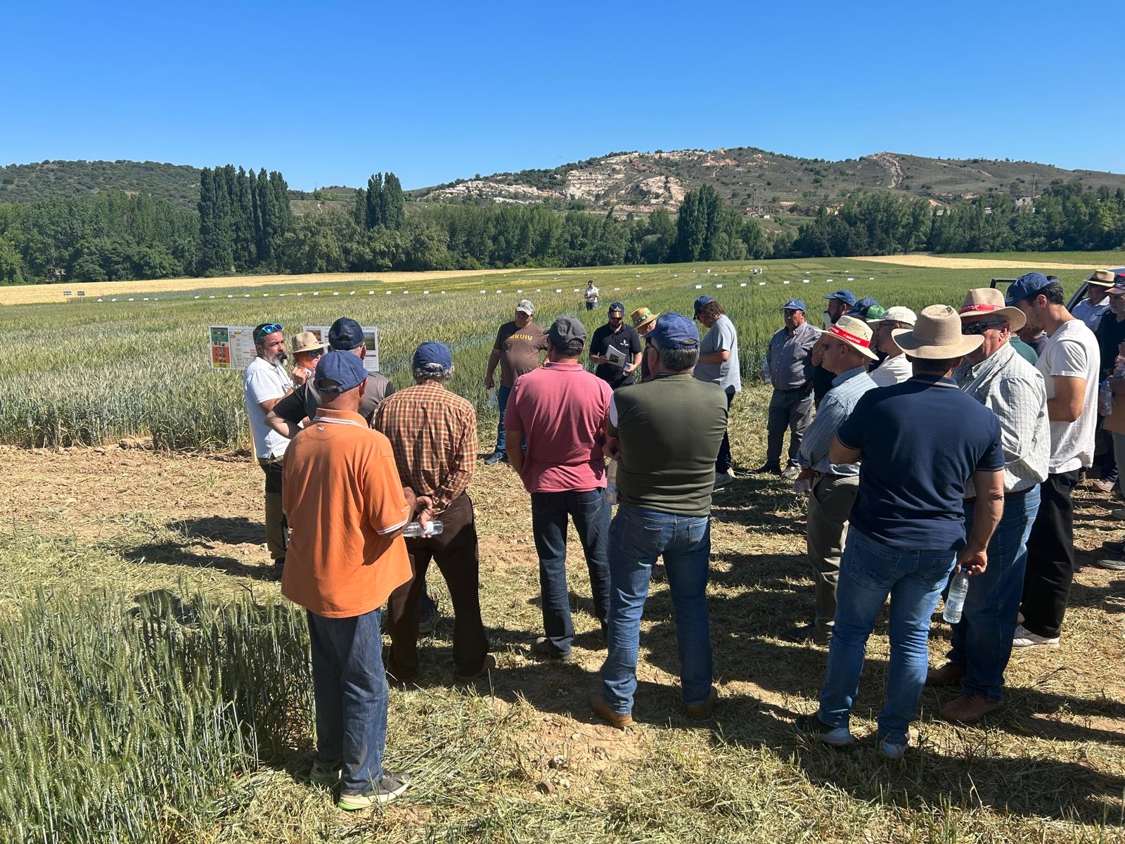 El CIAPA-IRIAF celebra en Espinosa de Henares una jornada técnica para acercar a los agricultores las investigaciones en regadío y cereal 1 El CIAPA-IRIAF celebra en Espinosa de Henares una jornada técnica para acercar a los agricultores las investigaciones en regadío y cereal