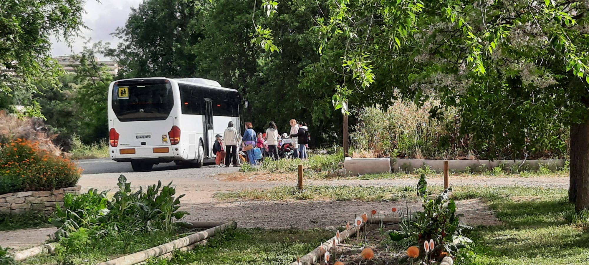 Castilla-La Mancha refuerza la educación ambiental con 205.000 euros en ayudas 2 El Gobierno regional impulsa la educación ambiental con dos líneas de ayudas por importe de 205.000 euros para centros educativos y entidades sin ánimo de lucro
